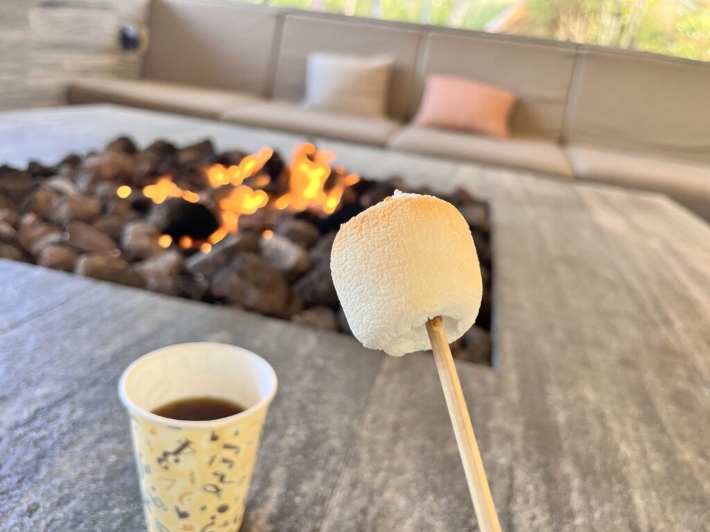 屋外プール／LIVING GARDEN／焼きマシュマロ体験