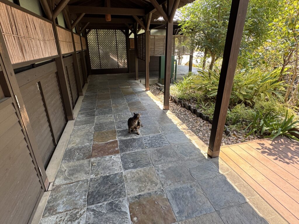 温泉／松泉宮通路