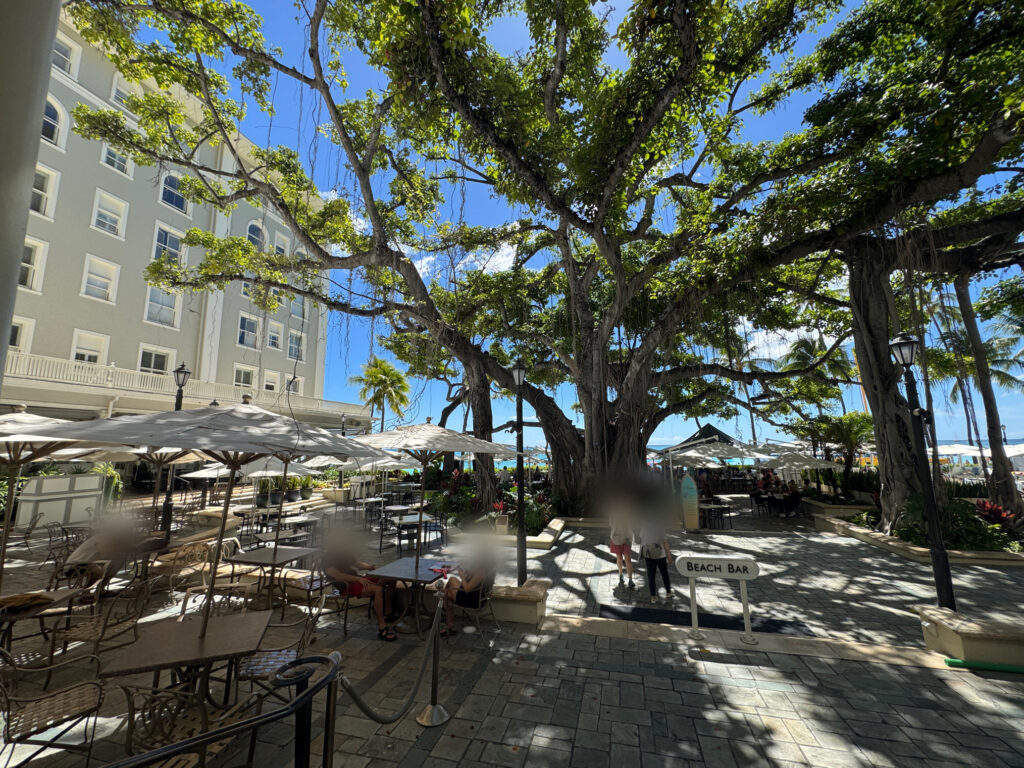 モアナサーフライダー コンチネンタルブレックファスト