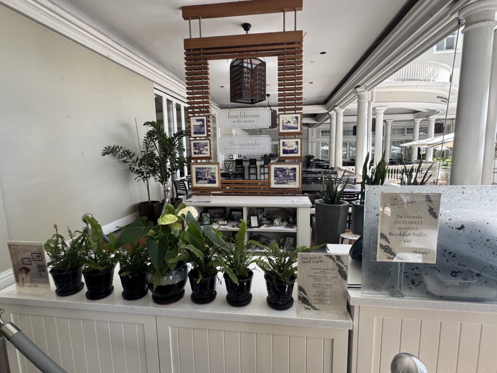 モアナサーフライダー 内観