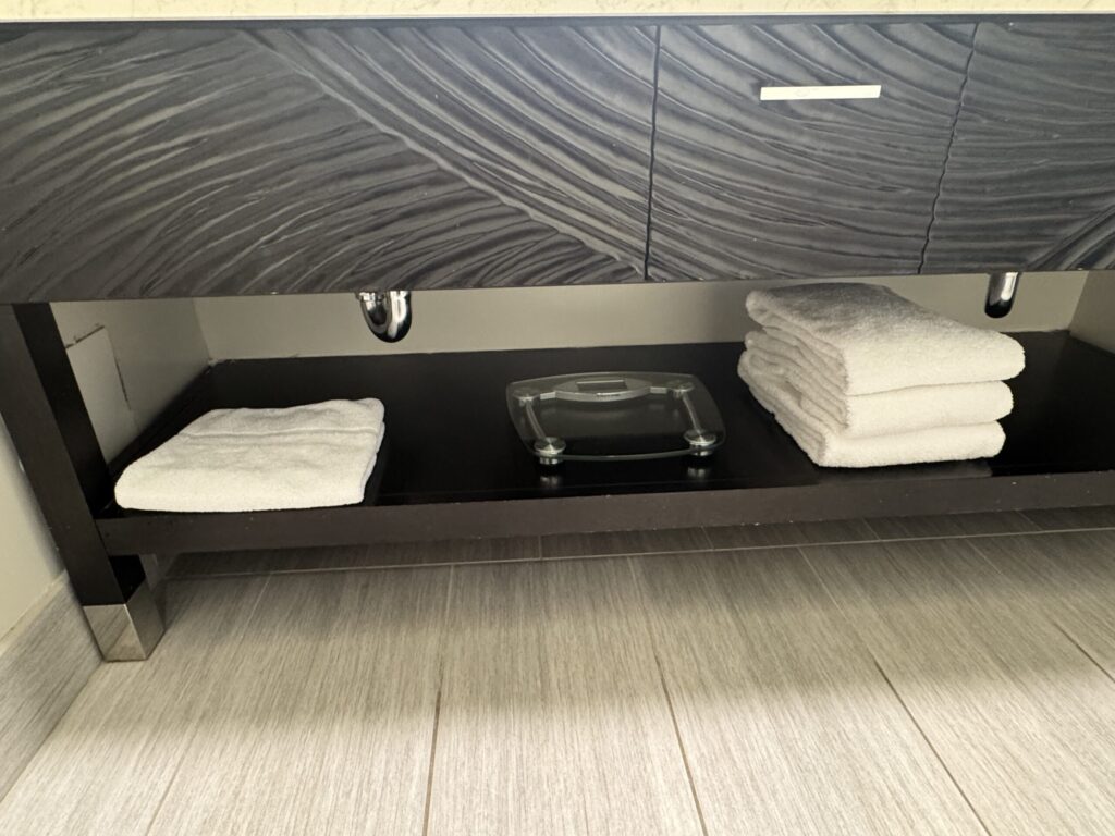 モアナサーフライダー 部屋 水回り