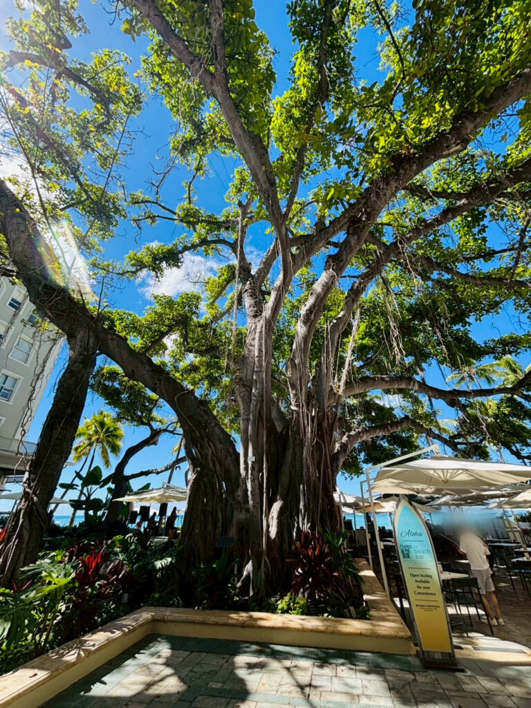 モアナサーフライダー 外観