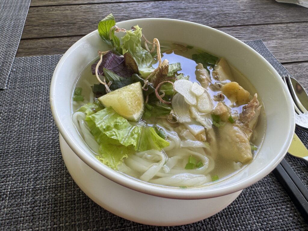 肉や葉野菜、柑橘を添えたスープ入りの麺料理